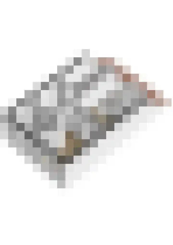 Mandenvlechter 19 Alphen aan den Rijn thumbnail 55