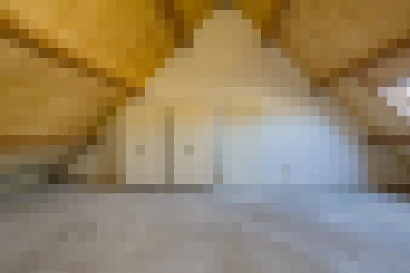 Mandenvlechter 203 Alphen aan den Rijn thumbnail 17