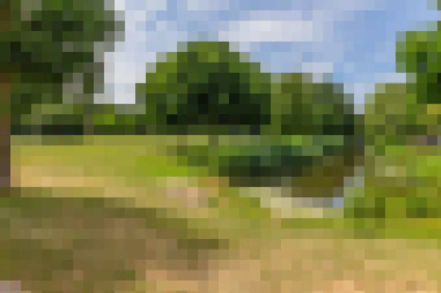 Mandenvlechter 203 Alphen aan den Rijn thumbnail 24