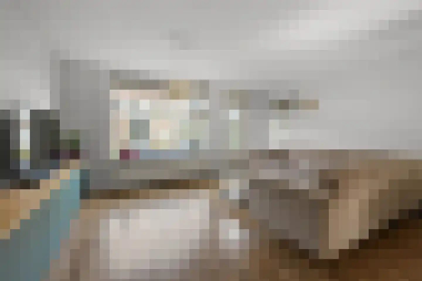 Mandenvlechter 205 Alphen aan den Rijn foto 2