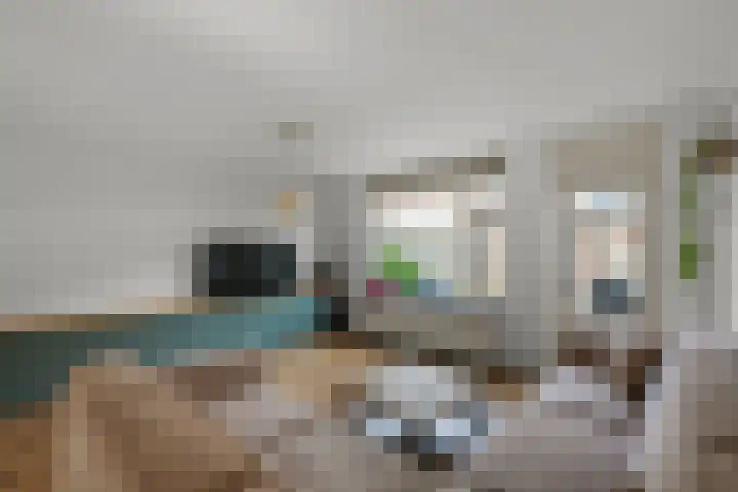 Mandenvlechter 205 Alphen aan den Rijn thumbnail 6