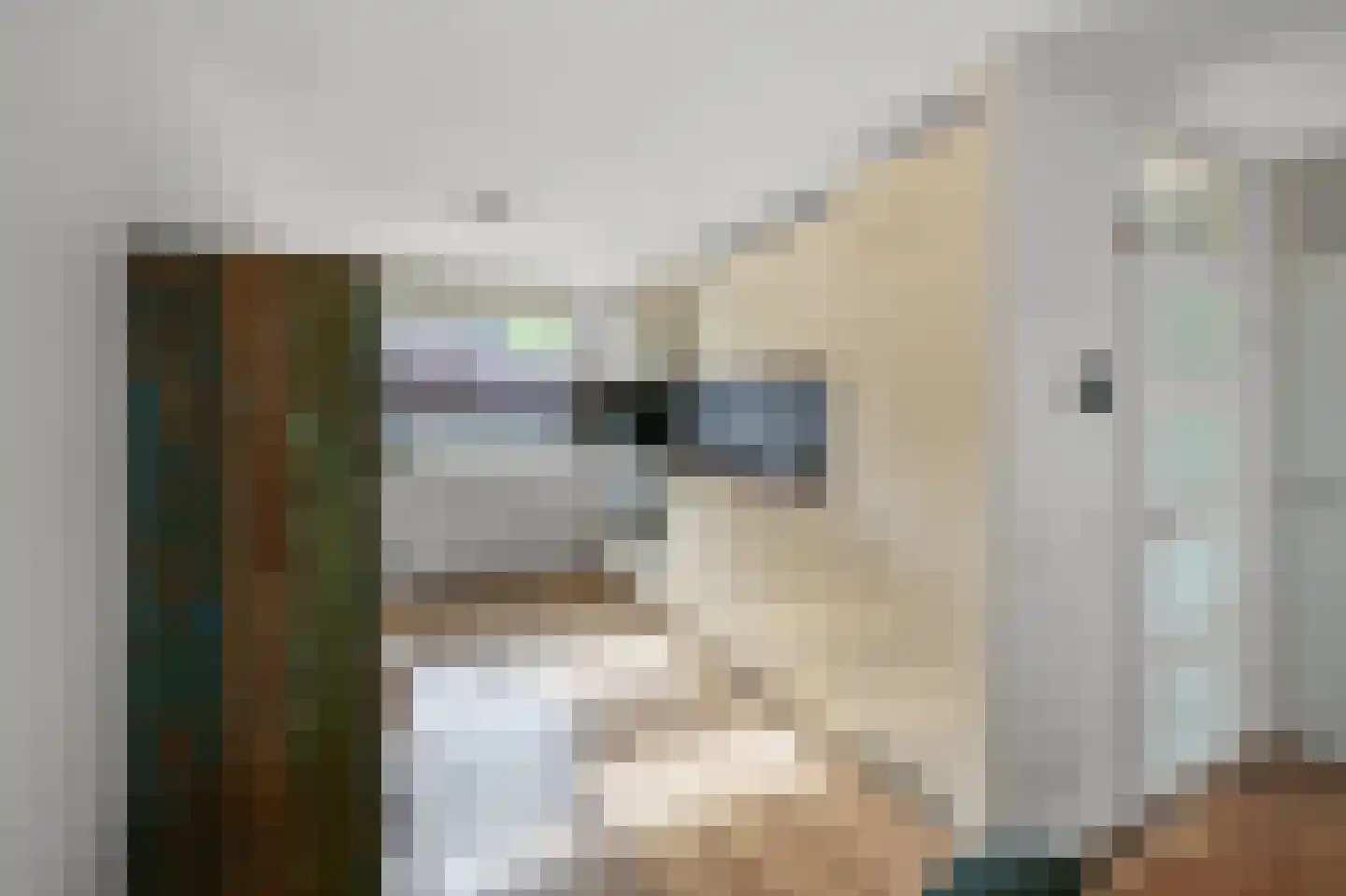 Mandenvlechter 205 Alphen aan den Rijn thumbnail 8
