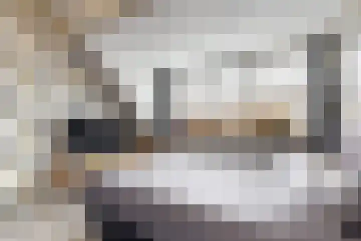 Mandenvlechter 79 Alphen aan den Rijn thumbnail 13
