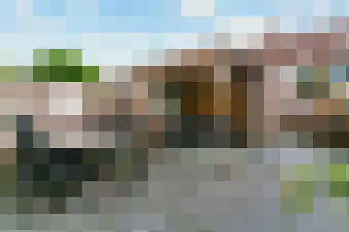 Mandenvlechter 79 Alphen aan den Rijn thumbnail 15