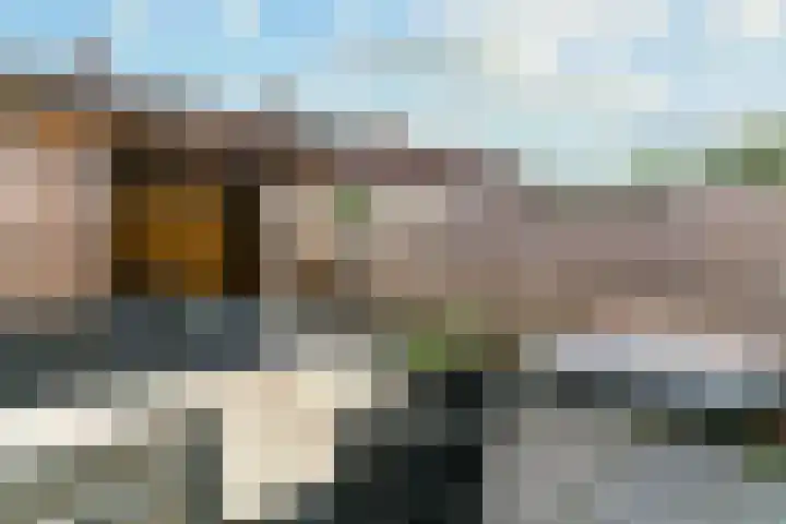 Mandenvlechter 79 Alphen aan den Rijn thumbnail 16