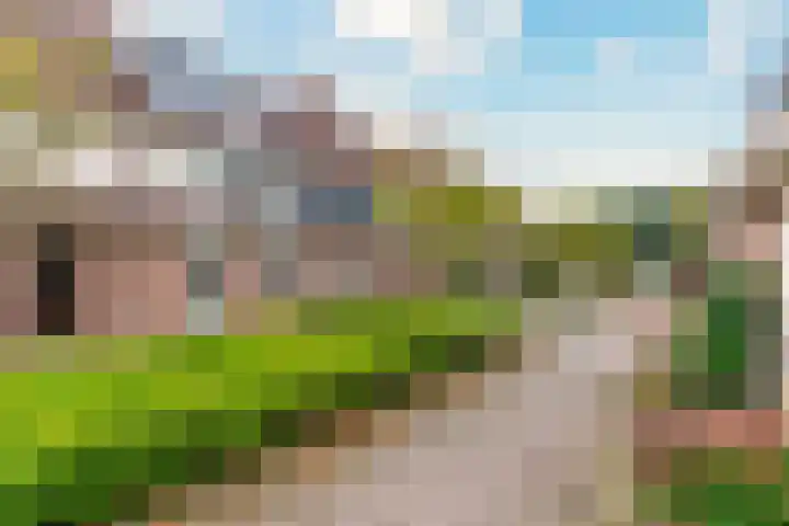 Mandenvlechter 79 Alphen aan den Rijn thumbnail 18