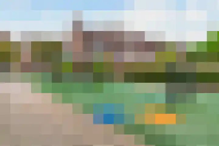 Mandenvlechter 79 Alphen aan den Rijn thumbnail 19