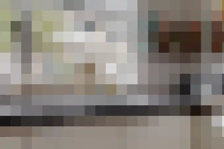 Mandenvlechter 79 Alphen aan den Rijn thumbnail 5