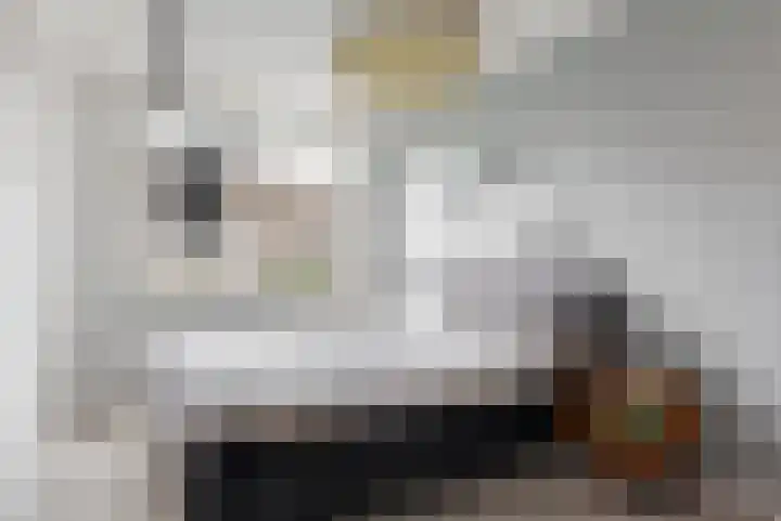 Mandenvlechter 79 Alphen aan den Rijn thumbnail 6