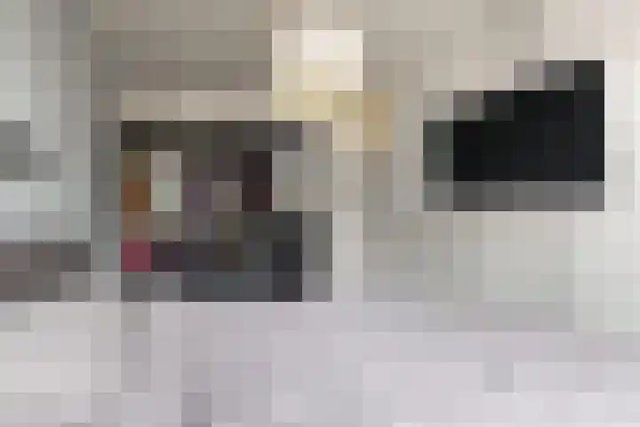 Mandenvlechter 79 Alphen aan den Rijn thumbnail 7