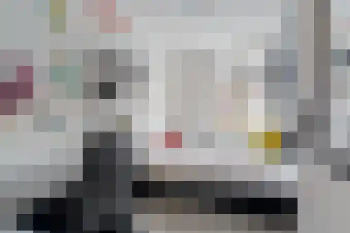 Mandenvlechter 79 Alphen aan den Rijn thumbnail 8