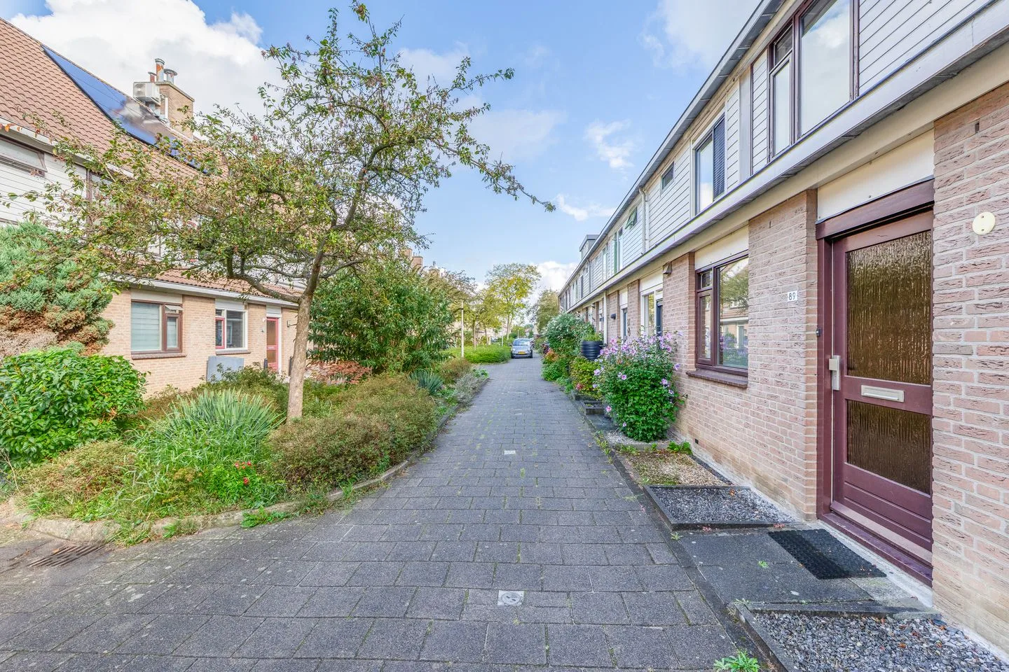 Mandenvlechter 89 Alphen aan den Rijn thumbnail 30