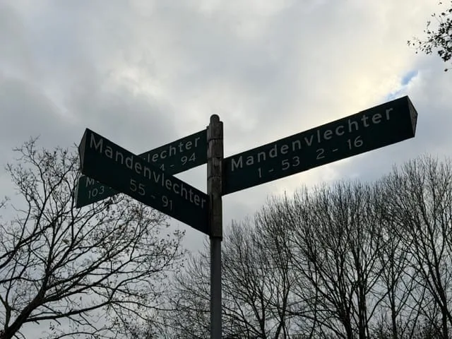 Mandenvlechter 91 Alphen aan den Rijn foto 2