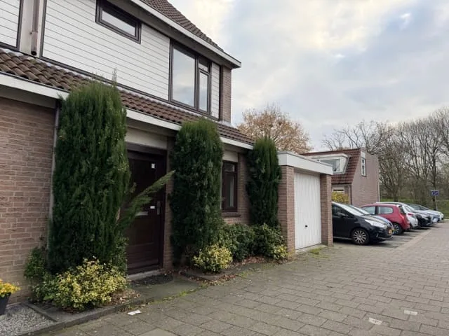 Mandenvlechter 91 Alphen aan den Rijn foto 3