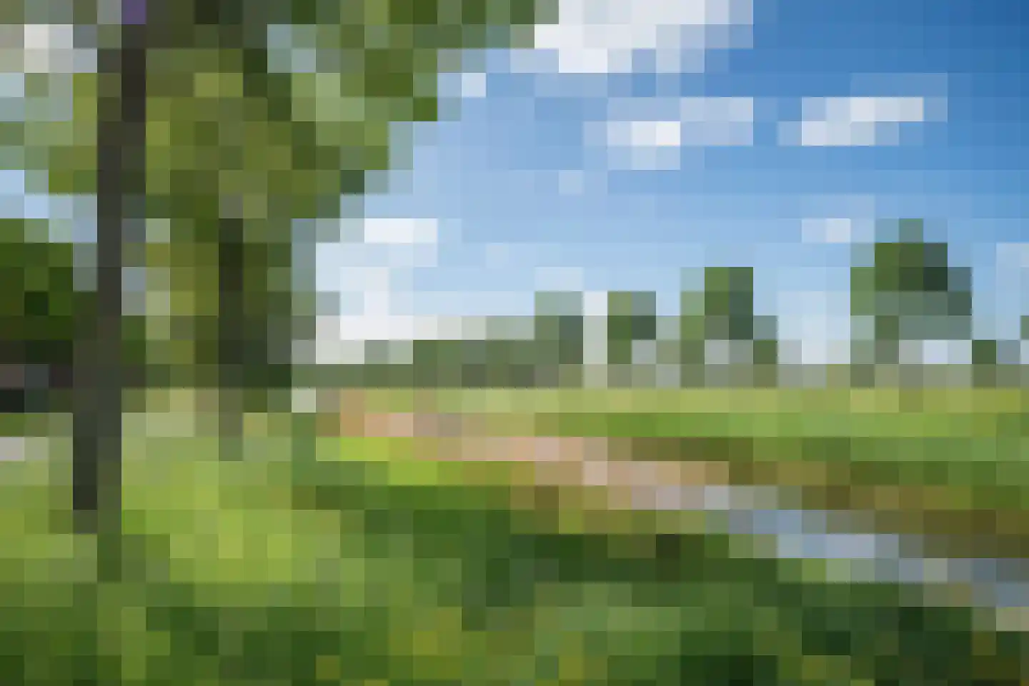 Manderhof 15 Bergschenhoek thumbnail 39