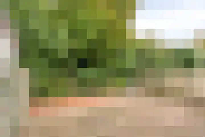 Manderscheidtsingel 16 Thorn thumbnail 26
