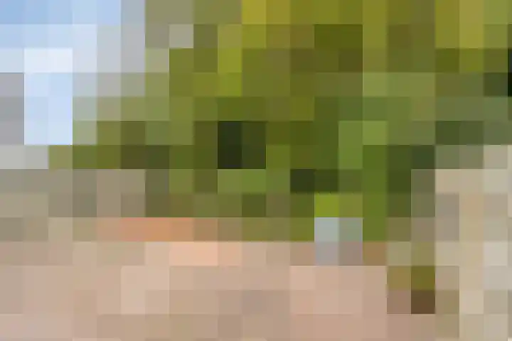 Manderscheidtsingel 16 Thorn thumbnail 28