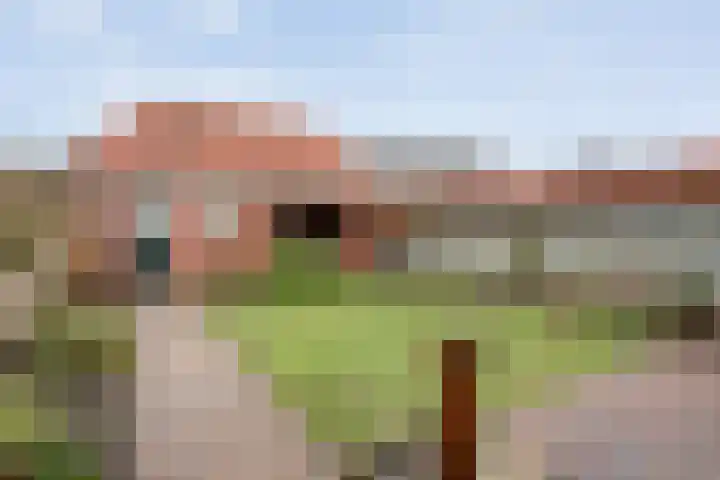 Manderseweg 62 Vasse thumbnail 17
