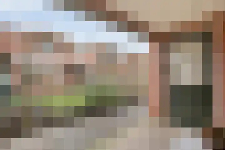 Manderseweg 62 Vasse thumbnail 18
