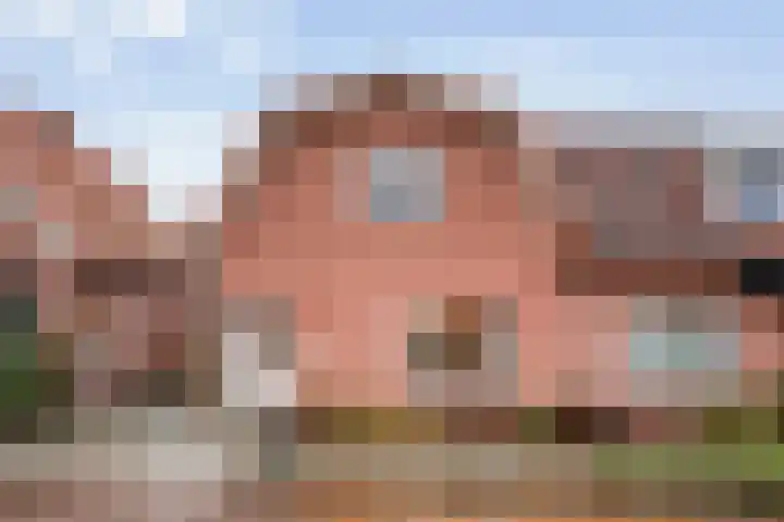 Manderseweg 62 Vasse thumbnail 5