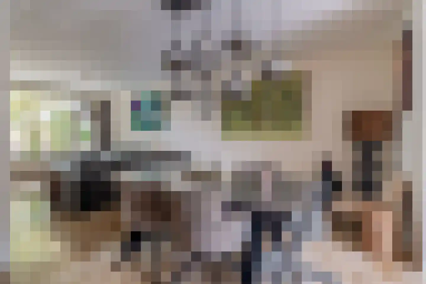 Mandersstraat 54 Schijndel thumbnail 4