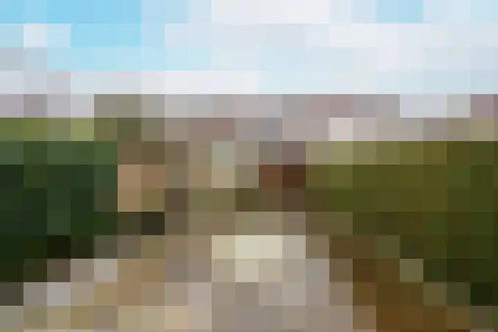 Manderveen 11 Zaandam thumbnail 9