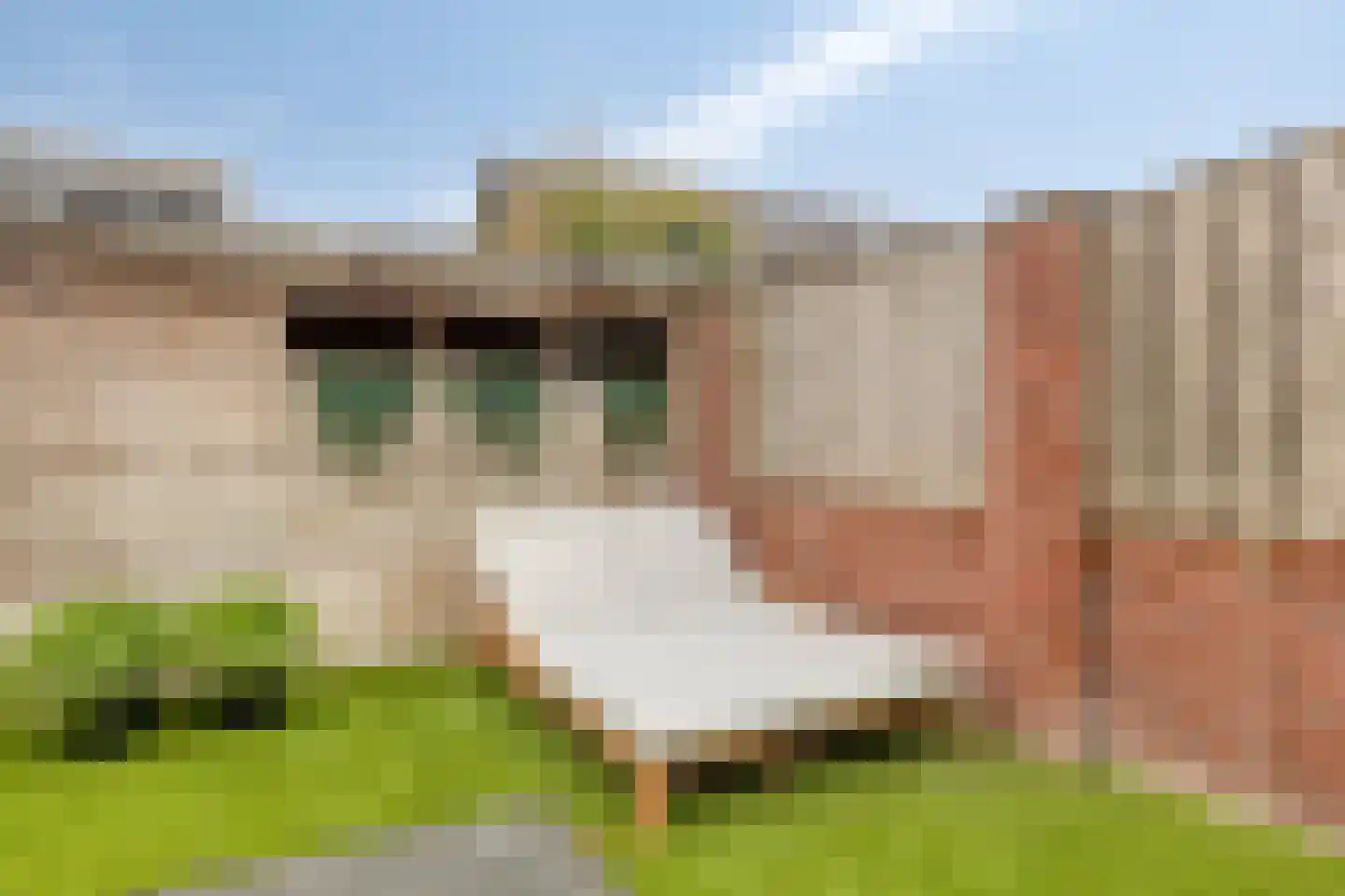 Manderveenstraat 28 Tilburg thumbnail 28
