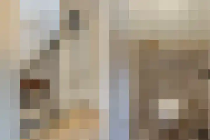 Manderveenstraat 32 Tilburg thumbnail 15