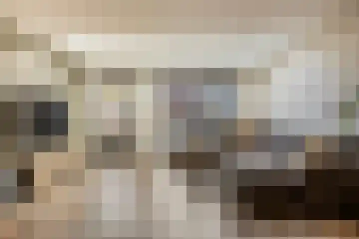 Manderveenstraat 32 Tilburg thumbnail 4