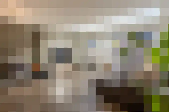 Manderveenstraat 32 Tilburg thumbnail 6