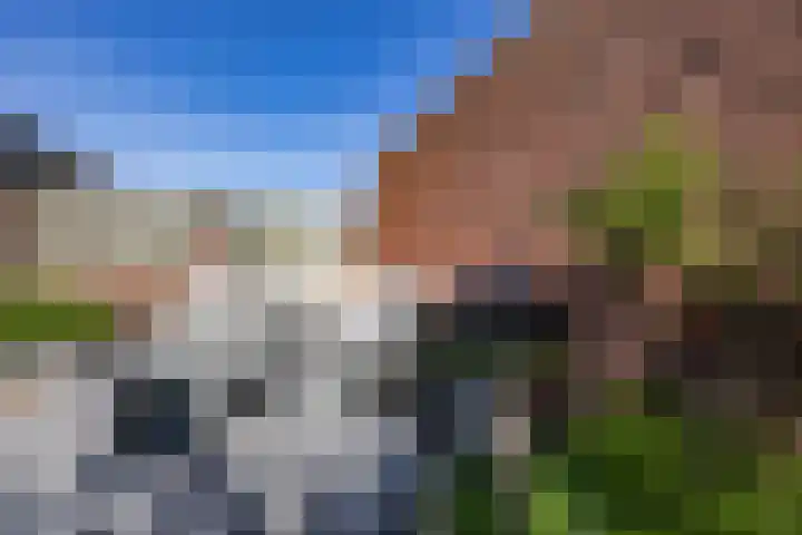 Manderveenstraat 60 Tilburg thumbnail 31
