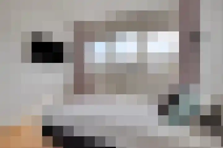 Manderveenstraat 90 Tilburg thumbnail 21
