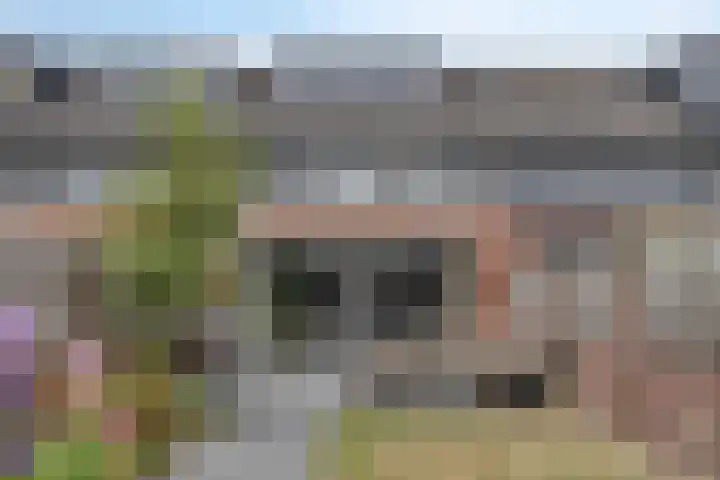 Manderveenstraat 90 Tilburg thumbnail 32