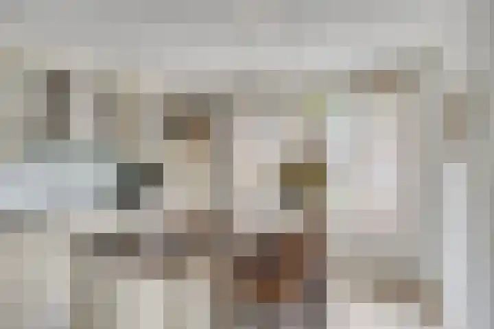 Manderveenstraat 90 Tilburg thumbnail 4