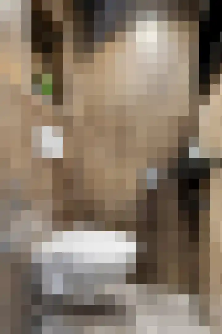 Mandeveld 1 Nieuw-Vennep thumbnail 13