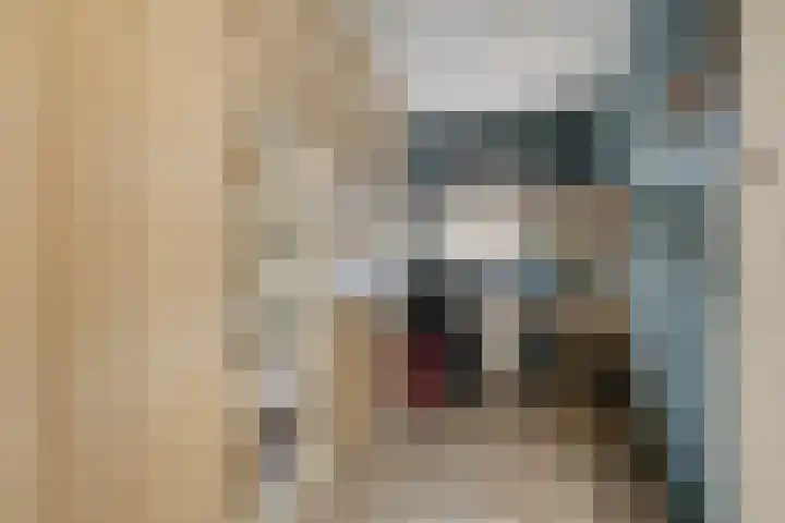 Mandeveld 1 Nieuw-Vennep thumbnail 18