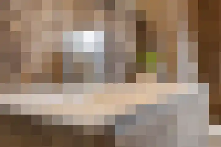 Mandeveld 1 Nieuw-Vennep thumbnail 20