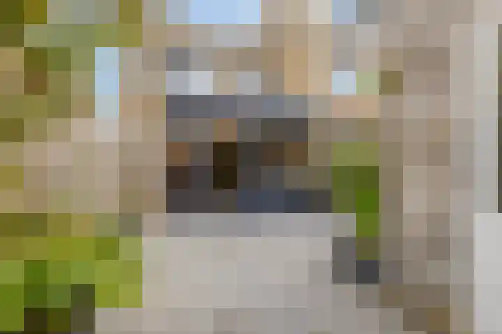 Mandeveld 1 Nieuw-Vennep thumbnail 23