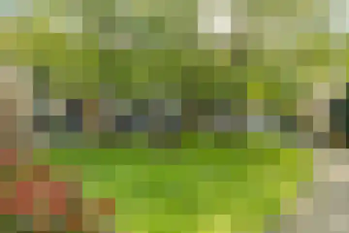 Mandeveld 1 Nieuw-Vennep thumbnail 24