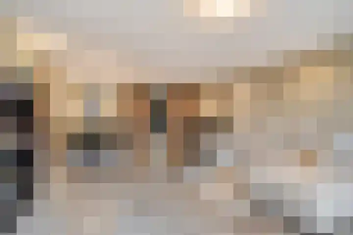 Mandeveld 1 Nieuw-Vennep thumbnail 6
