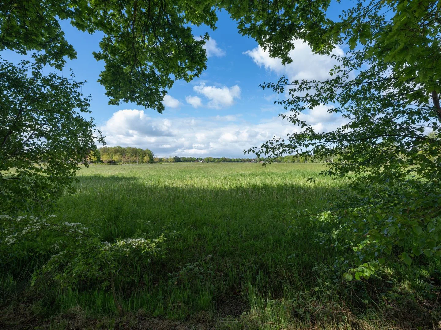 Mandewyk 14 Bakkeveen thumbnail 4
