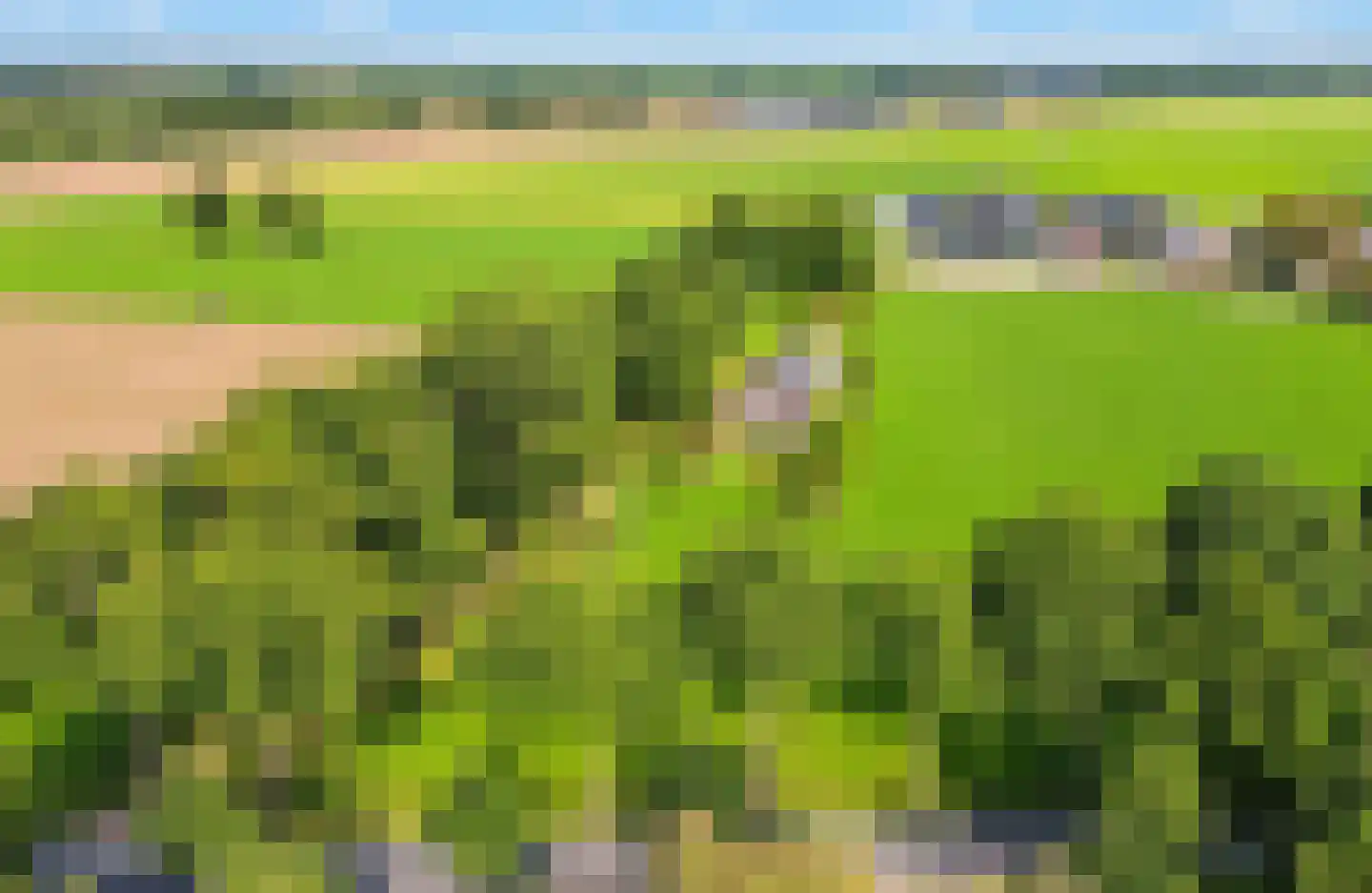Mandewyk 25 Bakkeveen thumbnail 10