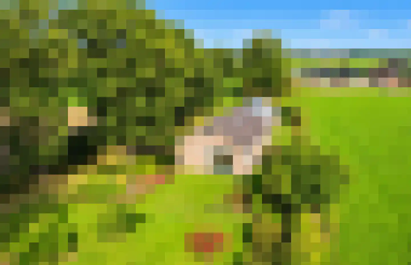 Mandewyk 25 Bakkeveen thumbnail 11