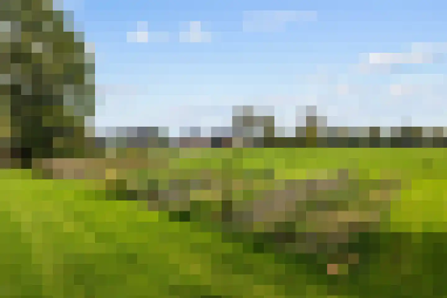 Mandewyk 25 Bakkeveen thumbnail 46