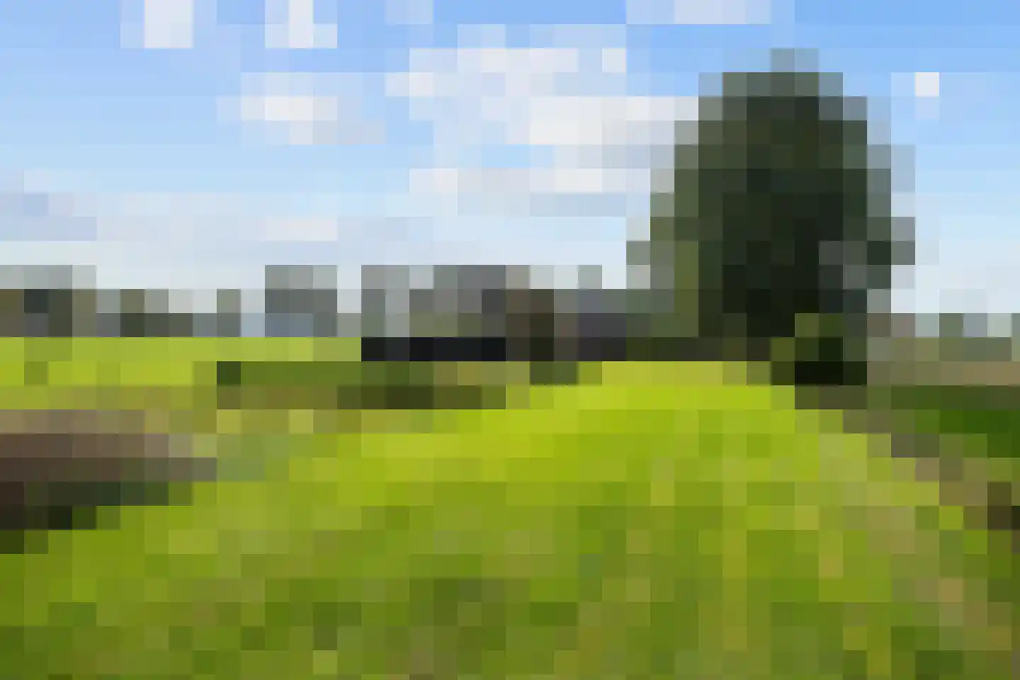 Mandewyk 25 Bakkeveen thumbnail 47