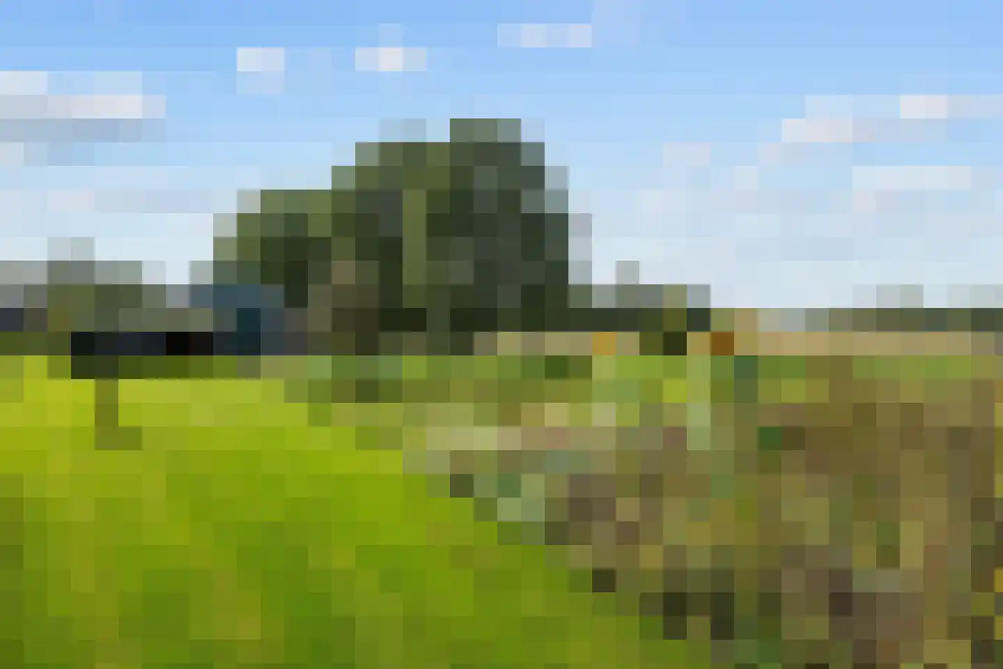 Mandewyk 25 Bakkeveen thumbnail 48