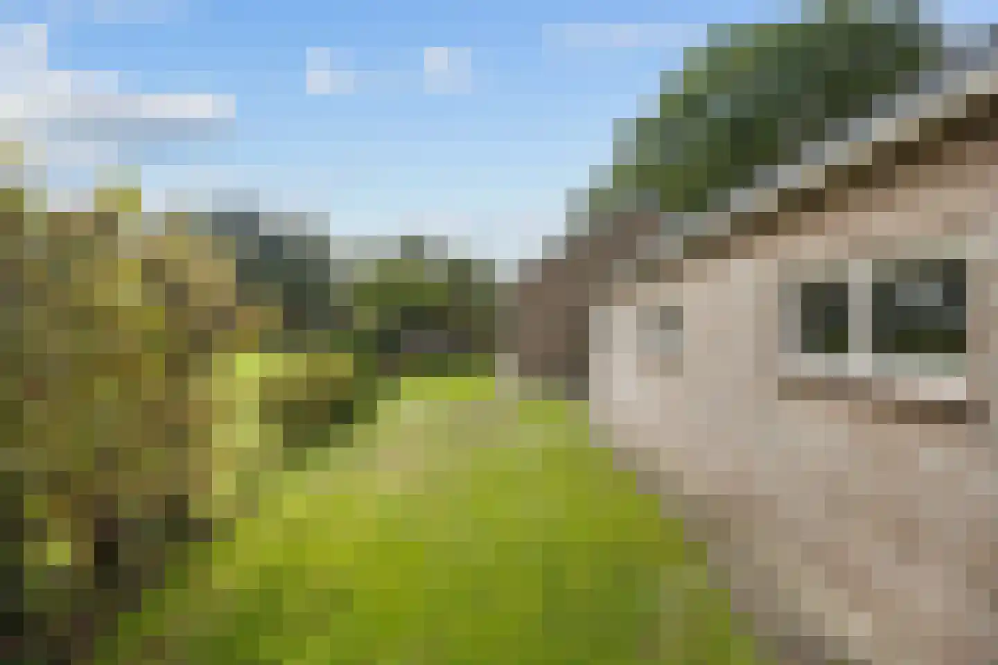 Mandewyk 25 Bakkeveen thumbnail 51