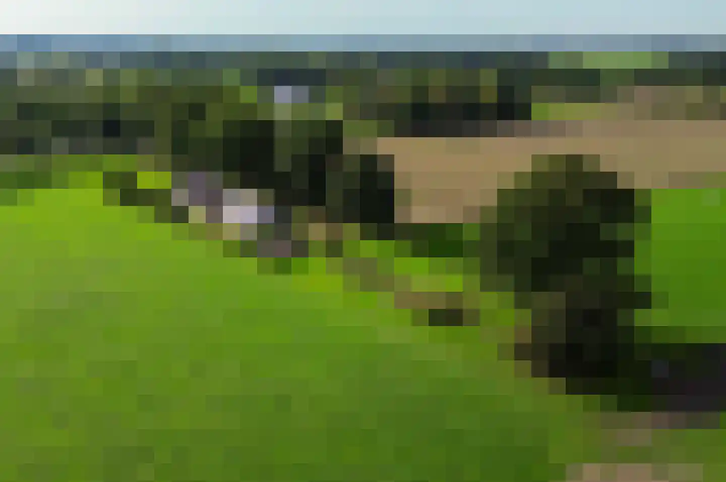 Mandewyk 25 Bakkeveen thumbnail 56