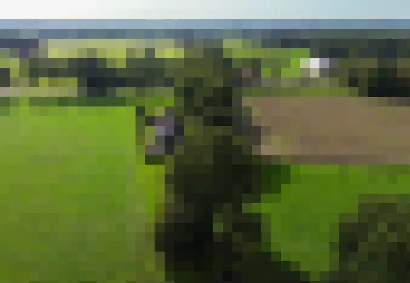 Mandewyk 25 Bakkeveen thumbnail 57