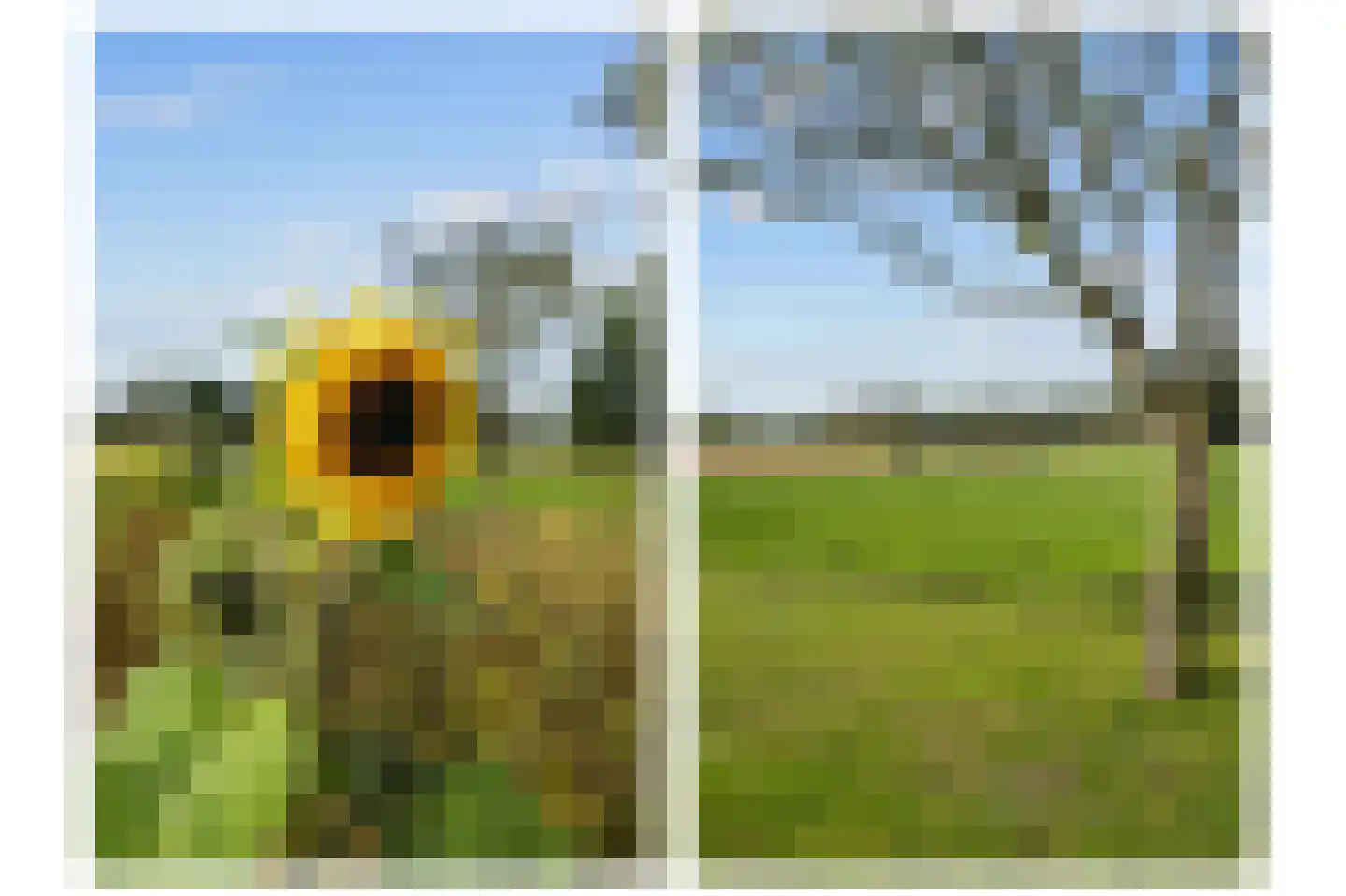 Mandewyk 25 Bakkeveen thumbnail 7
